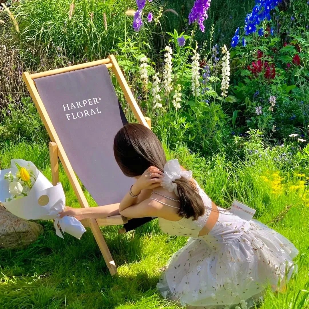 高手下山全球精英都是我徒弟